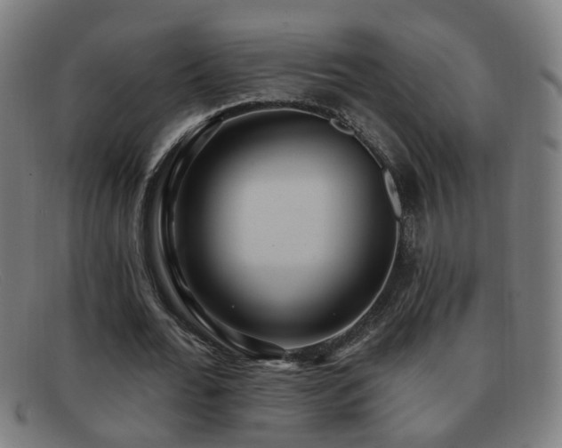 X0000092040676200709121154