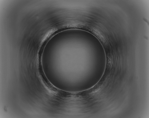 X0000092040678200709121154