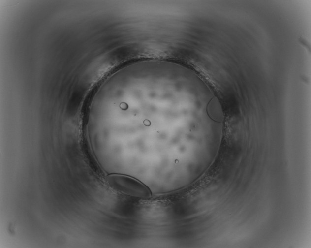 X0000092040679200709121154