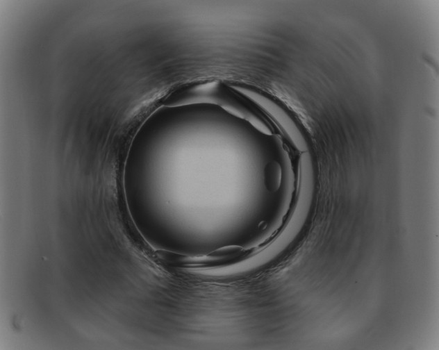 X0000092040681200709121154