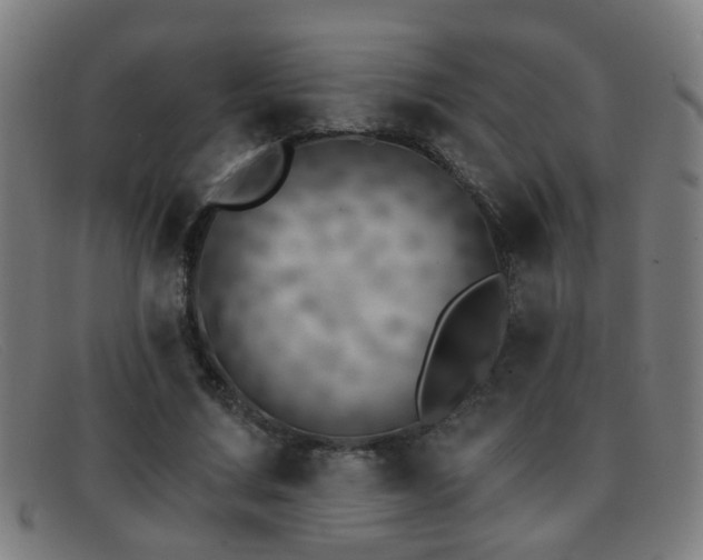 X0000092040683200709121154