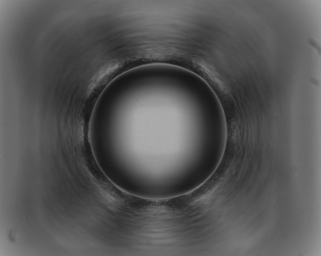 X0000092040685200709121154