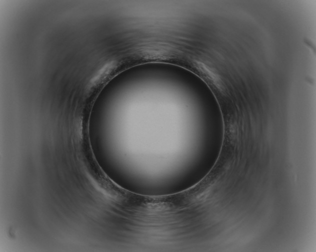 X0000092040686200709121154