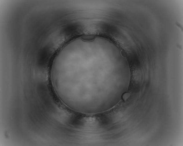 X0000092040687200709121154