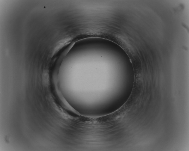 X0000092040688200709121154