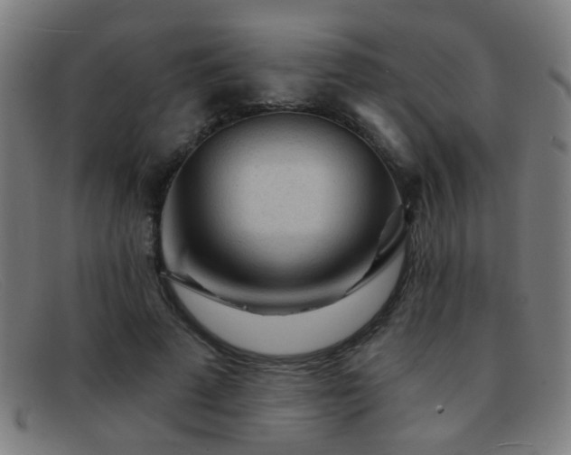 X0000092040689200709121154