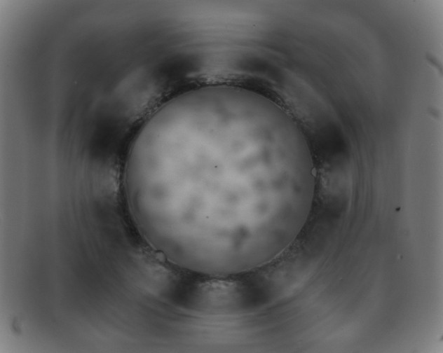 X0000092040691200709121154