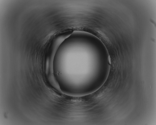 X0000092040693200709121154