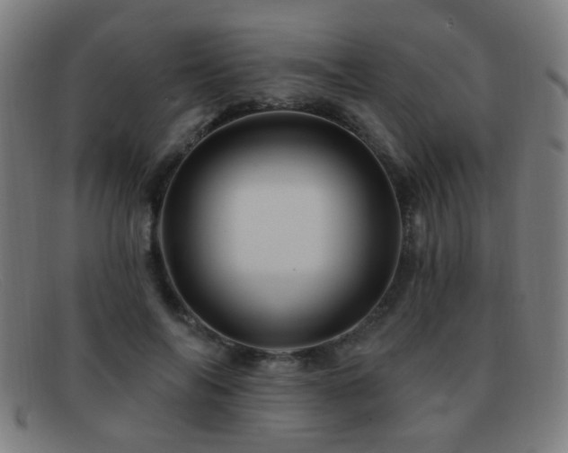 X0000092040694200709121154