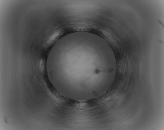 X0000092040695200709121154