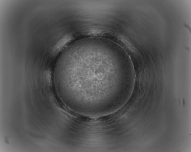 X0000092040696200709121154