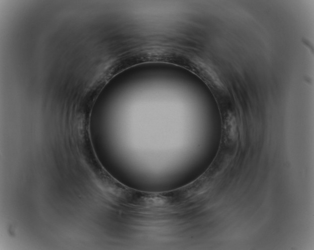 X0000092040698200709121153