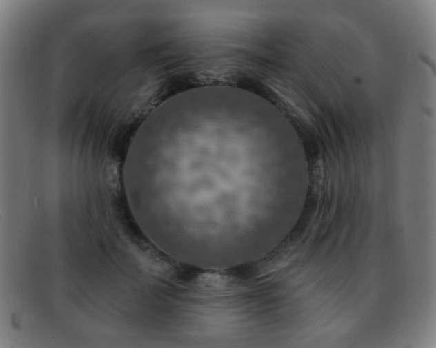 X0000092040699200709121153