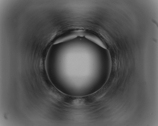 X0000092040700200709121153