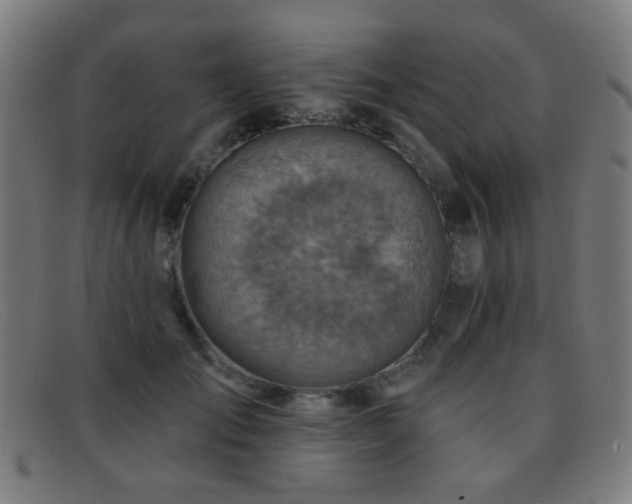 X0000092040701200709121153