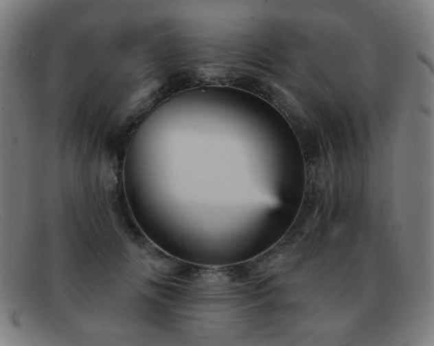 X0000092040702200709121153