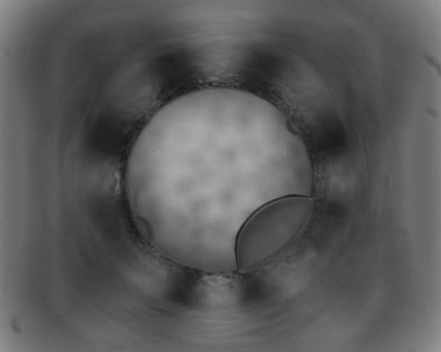 X0000092040703200709121153