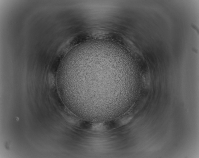 X0000092040705200709121153