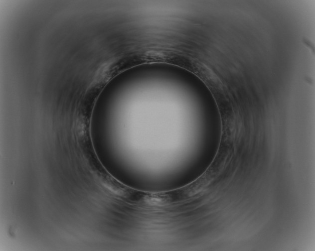 X0000092040706200709121153