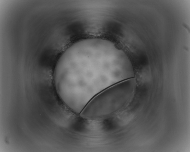 X0000092040707200709121153