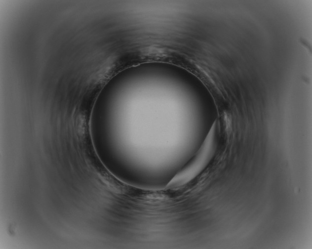 X0000092040708200709121153