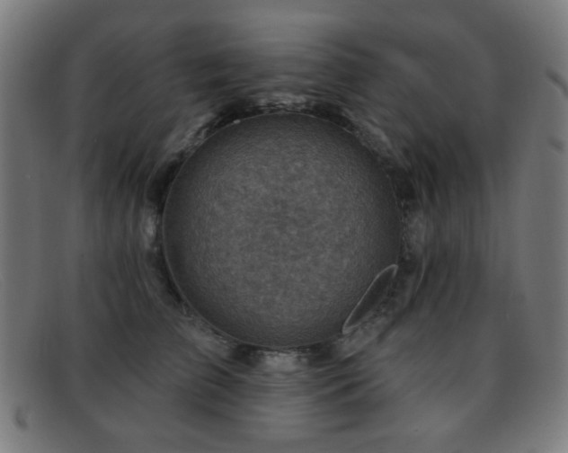 X0000092040709200709121153