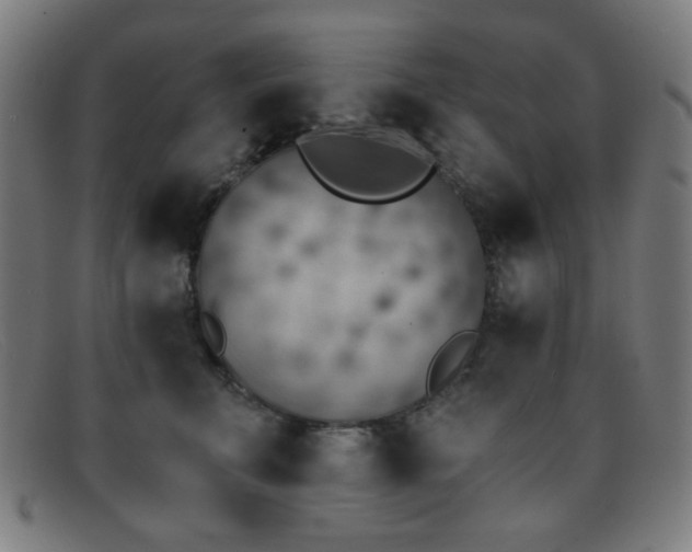 X0000092040711200709121153