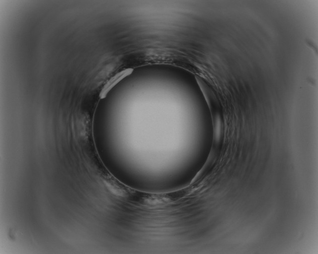 X0000092040712200709121153