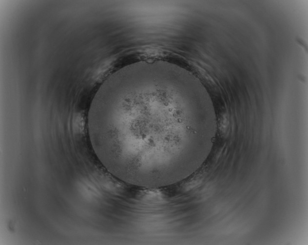 X0000092040715200709121153