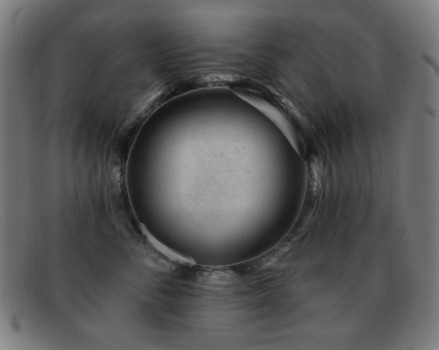 X0000092040716200709121153