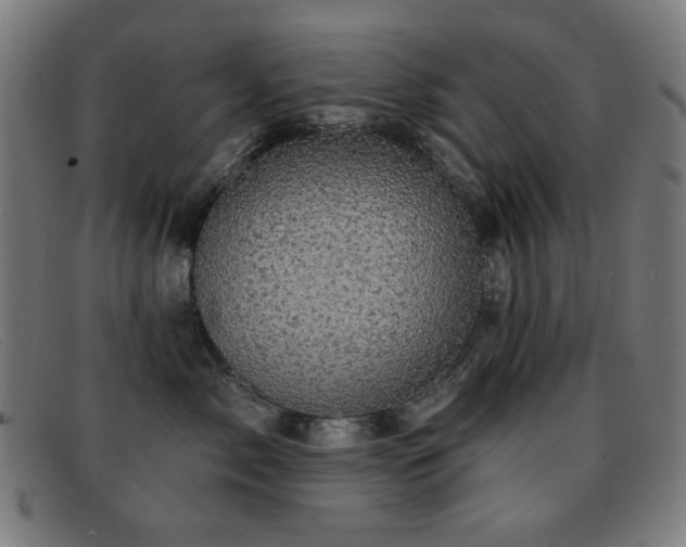 X0000092040717200709121153