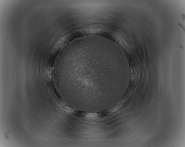 X0000092040718200709121153