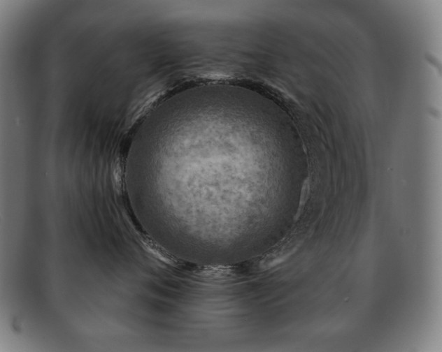 X0000092040720200709121153