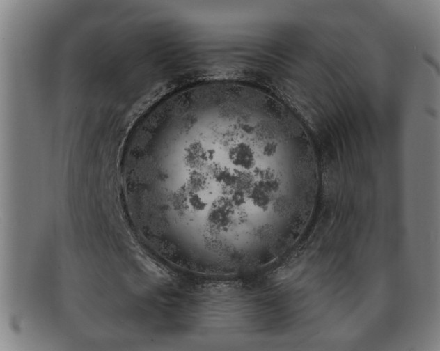 X0000092040721200709121153