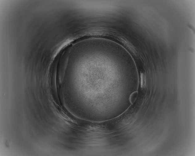 X0000092040723200709121153