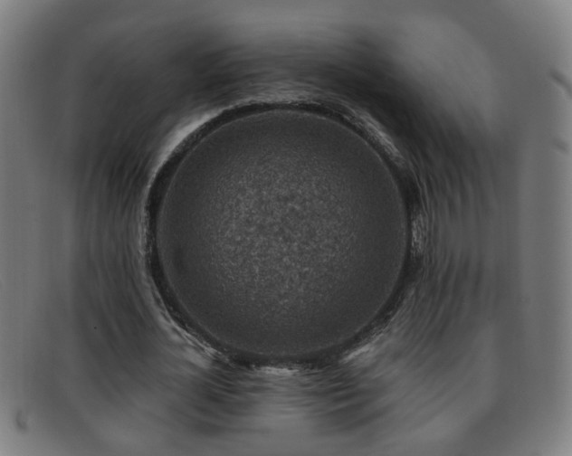 X0000092040724200709121153