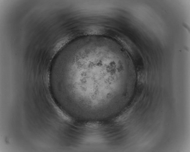 X0000092040725200709121153