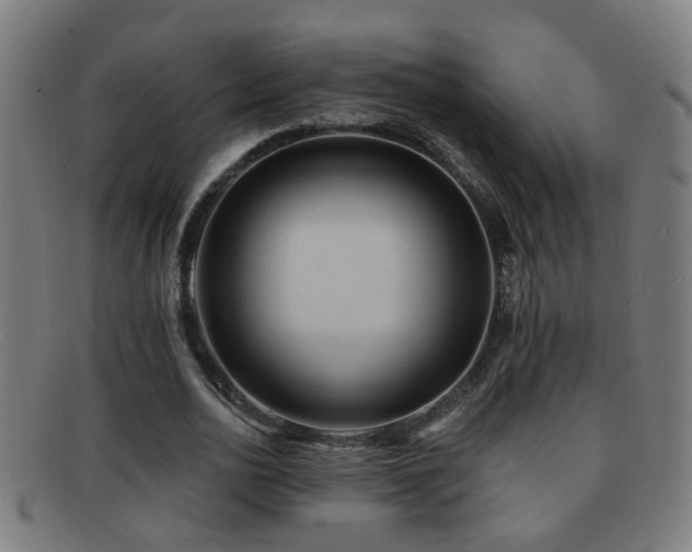 X0000092040726200709121153