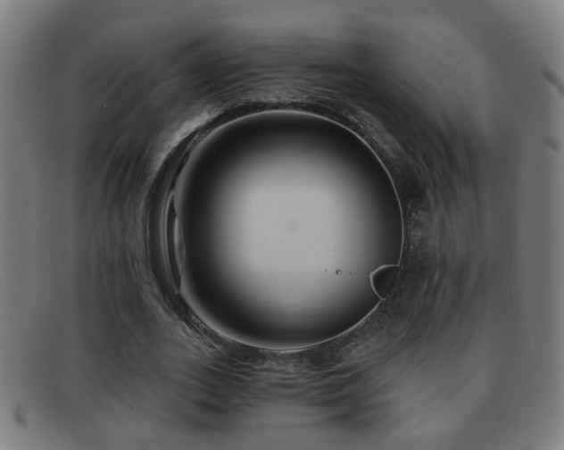 X0000092040727200709121153