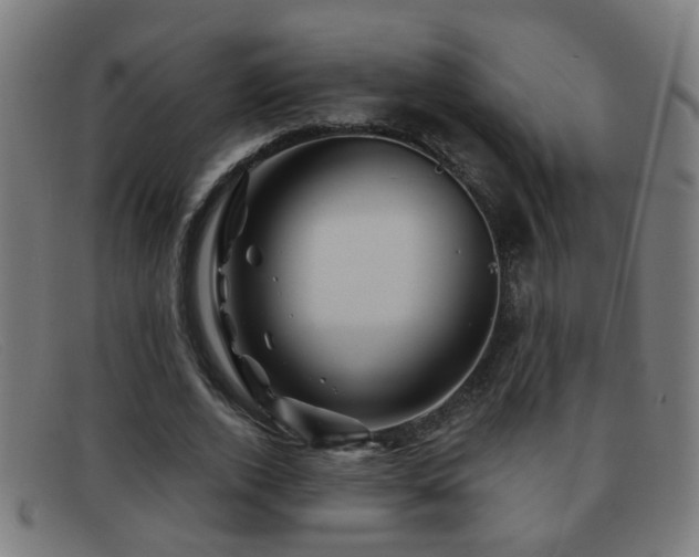 X0000092040728200709121153