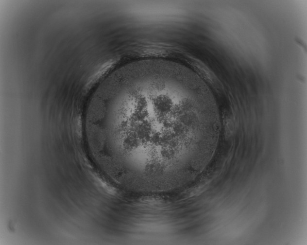 X0000092040729200709121153