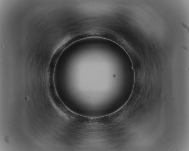 X0000092040730200709121153