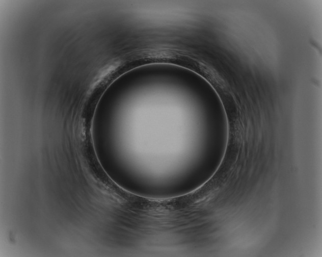 X0000092040731200709121153