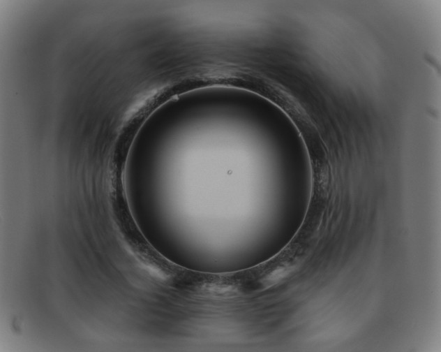 X0000092040732200709121153