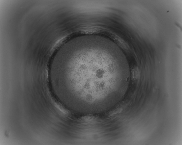 X0000092040733200709121153