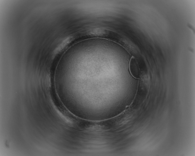 X0000092040734200709121153