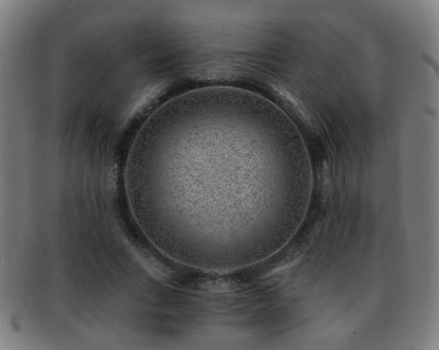 X0000092040735200709121153