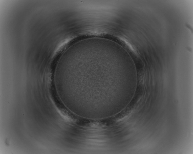 X0000092040736200709121153