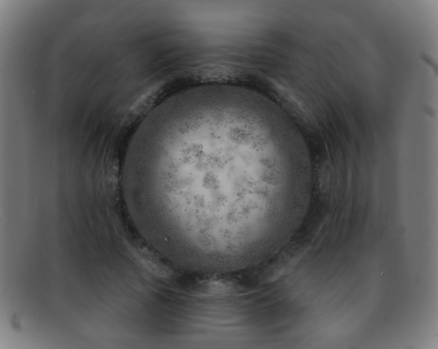 X0000092040737200709121153