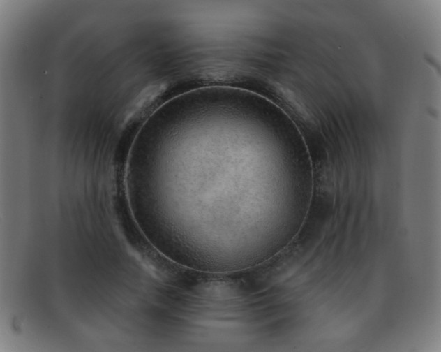 X0000092040738200709121153